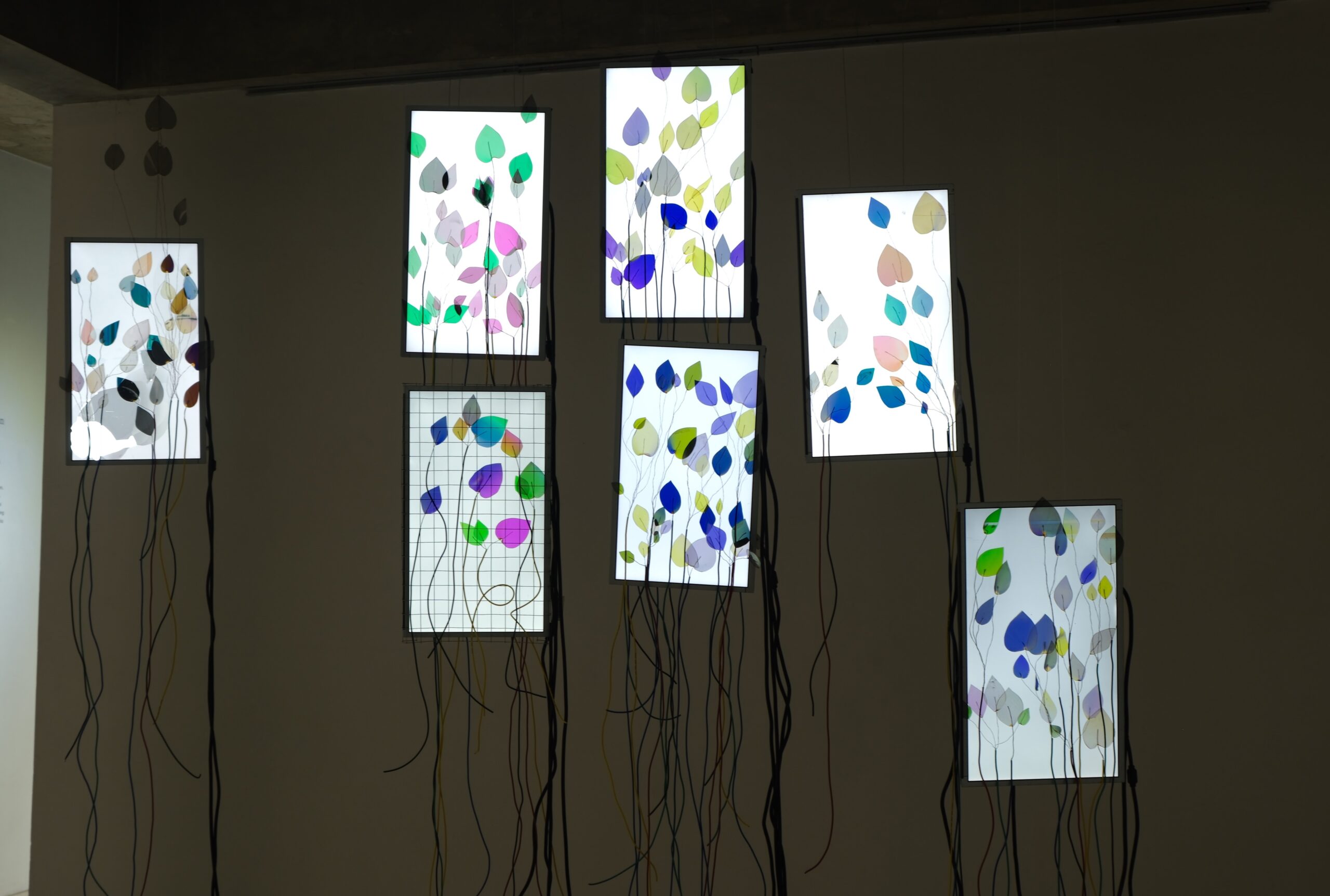 Synthetic Chlorophyll